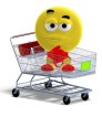 Smiley sitting in shopping cart