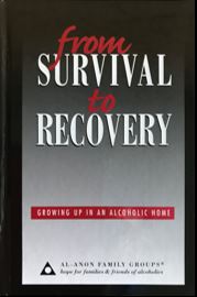 From Survival To Recovery - B-21 thumbnail